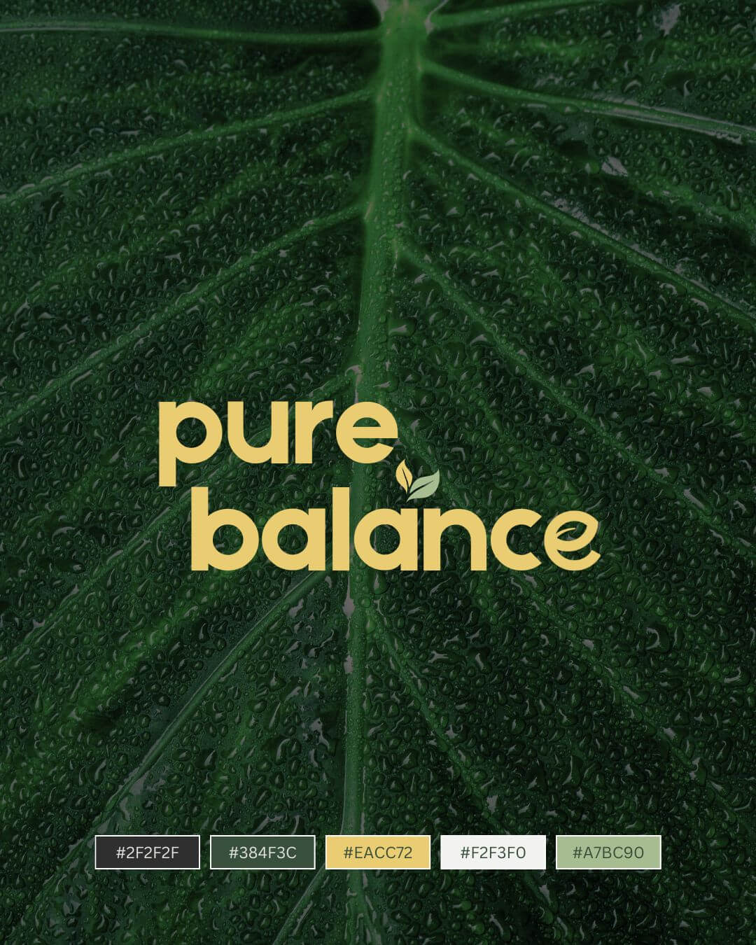 Pure Balance Portfolio
